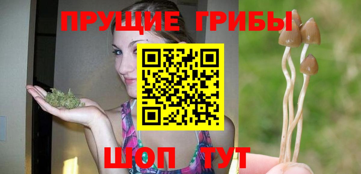 Галлюциногенные грибы Cubensis Алексин